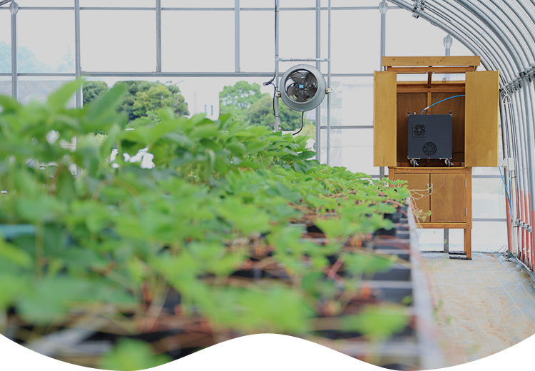 水素酸素バブル水農法農業の未来へ向けた