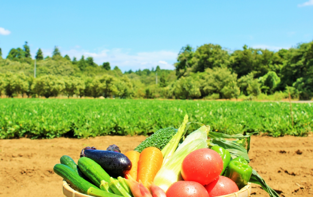 高濃度水素酸素水で農業を変える